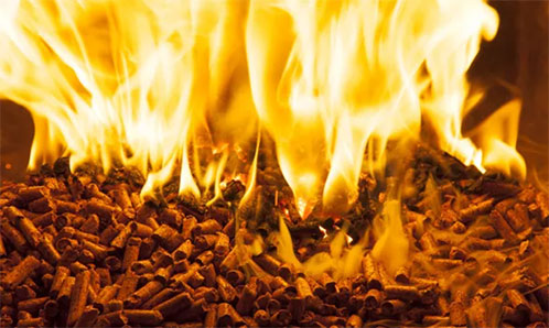 生物質(zhì)解決方案